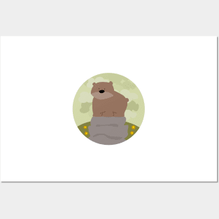 Bear Posters and Art